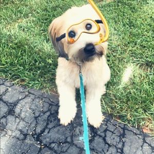 Meet your Posher, Candice